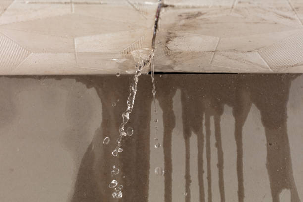 Professional Flood Damage Cleanup technician working in Snyder, NE